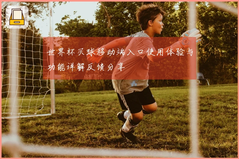世界杯买球移动端入口使用体验与功能详解反馈分享