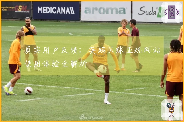 真实用户反馈：英超买球正规网站使用体验全解析