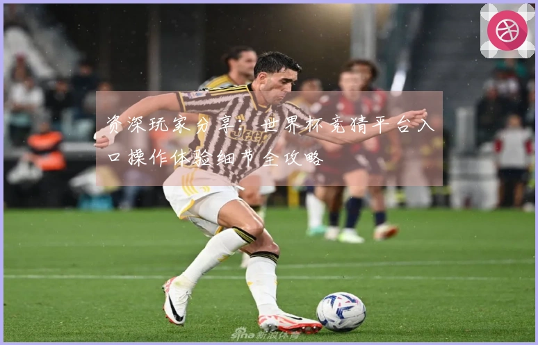 资深玩家分享：世界杯竞猜平台入口操作体验细节全攻略