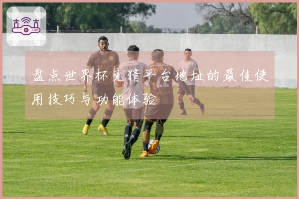 盘点世界杯竞猜平台地址的最佳使用技巧与功能体验