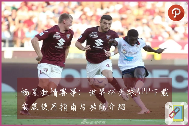 畅享激情赛事：世界杯买球APP下载安装使用指南与功能介绍