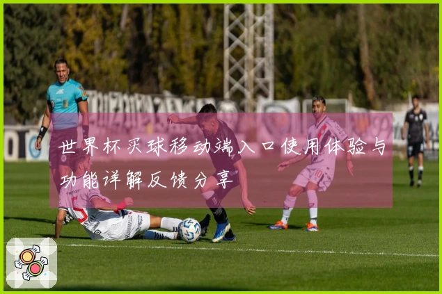 世界杯买球移动端入口使用体验与功能详解反馈分享
