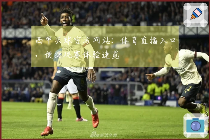 西甲买球官方网站：体育直播入口，便捷观赛体验速览