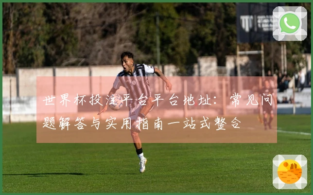 世界杯投注平台平台地址：常见问题解答与实用指南一站式整合