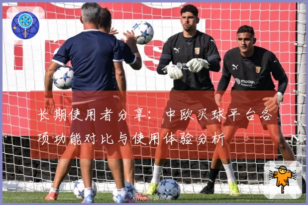 长期使用者分享：中欧买球平台各项功能对比与使用体验分析