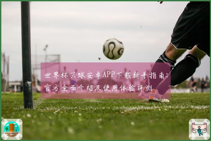 世界杯买球安卓APP下载新手指南：官方全面介绍及使用体验评测