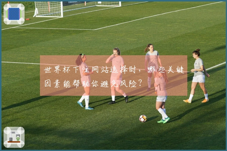 世界杯下注网站选择时，哪些关键因素能帮助你避免风险？