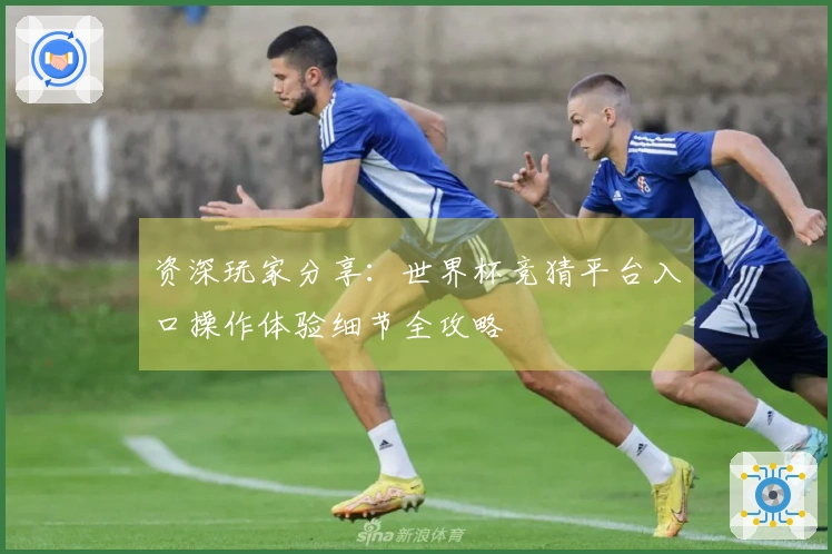 资深玩家分享：世界杯竞猜平台入口操作体验细节全攻略