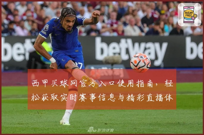西甲买球网官方入口使用指南，轻松获取实时赛事信息与精彩直播体验